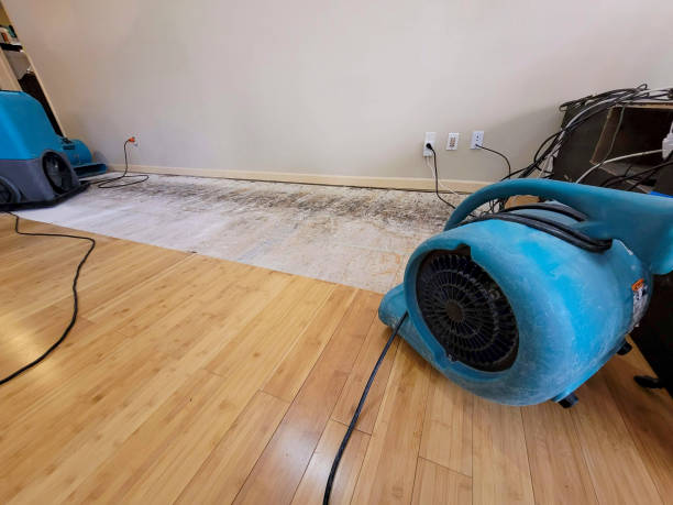 Professional Basement Flood Cleanup technician working in Potosi, TX